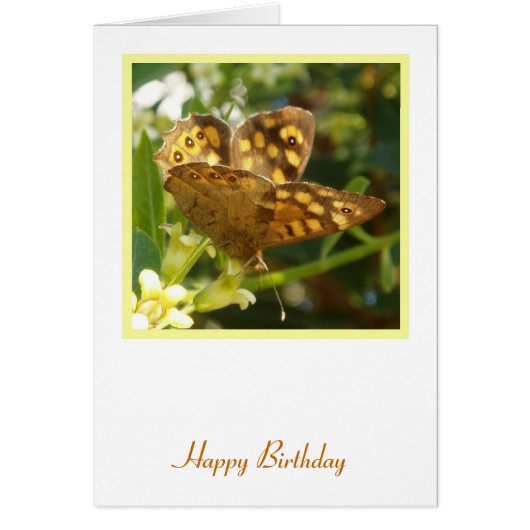 Butterfly Birthday-kaart (Voorkant)
