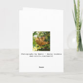 Butterfly Birthday-kaart Kaart (Achterkant)