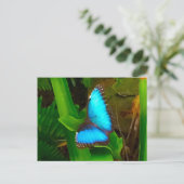 Butterfly Blue Sluiten Briefkaart (Staand voorkant)