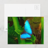 Butterfly Blue Sluiten Briefkaart (Voorkant / Achterkant)