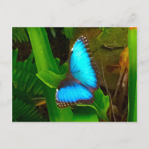 Butterfly Blue Sluiten Briefkaart