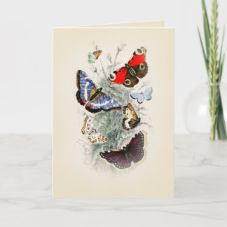 Butterfly Boho Chic Kaart