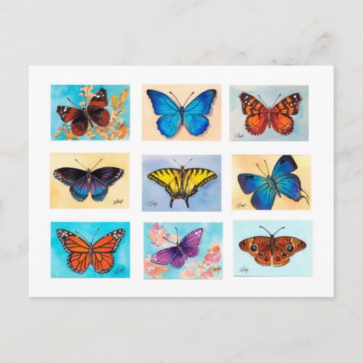 Butterfly Bonanza Briefkaart (Voorkant)