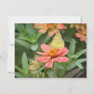 Butterfly Briefkaart