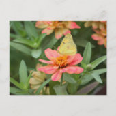 Butterfly Briefkaart (Voorkant)