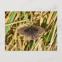 Butterfly Briefkaart