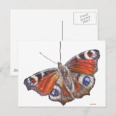 Butterfly Briefkaart (Voorkant / Achterkant)