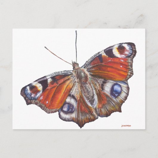 Butterfly Briefkaart (Voorkant)