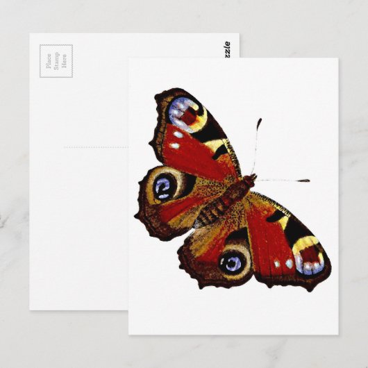 Butterfly Briefkaart (Voorkant / Achterkant)