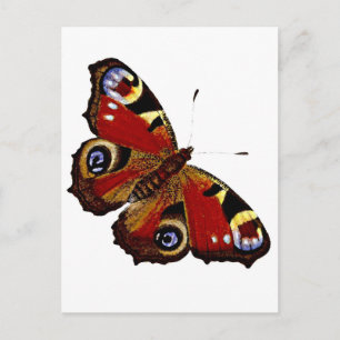 Butterfly Briefkaart