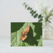 Butterfly Briefkaart (Staand voorkant)