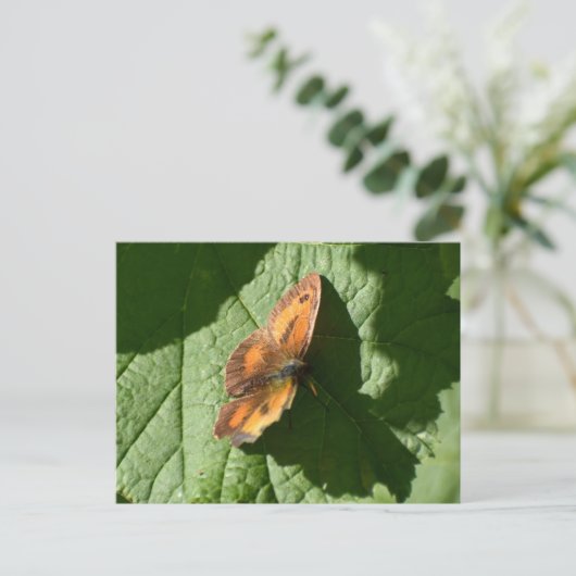 Butterfly Briefkaart (Staand voorkant)