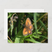Butterfly Briefkaart (Voorkant / Achterkant)