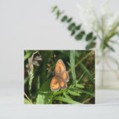 Butterfly Briefkaart (Staand voorkant)