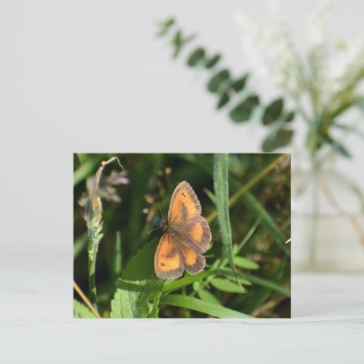 Butterfly Briefkaart (Staand voorkant)