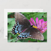 Butterfly Briefkaart (Voorkant / Achterkant)