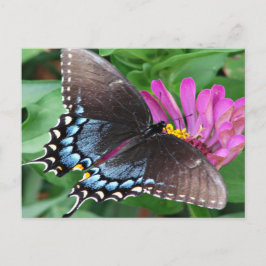 Butterfly Briefkaart