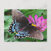 Butterfly Briefkaart (Voorkant)
