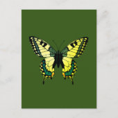 Butterfly Briefkaart (Voorkant)