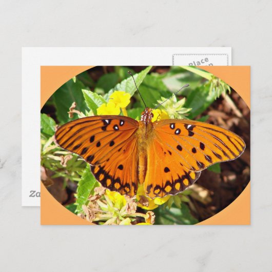 Butterfly Briefkaart (Voorkant / Achterkant)