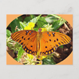 Butterfly Briefkaart