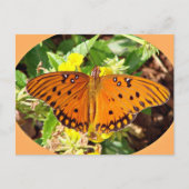 Butterfly Briefkaart (Voorkant)