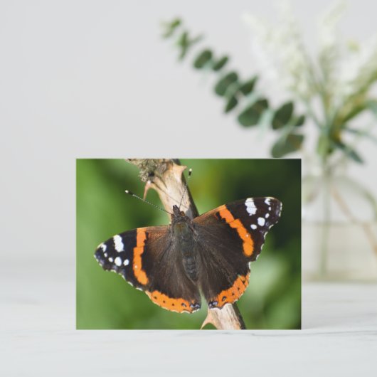 Butterfly Briefkaart (Staand voorkant)