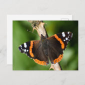 Butterfly Briefkaart (Voorkant / Achterkant)
