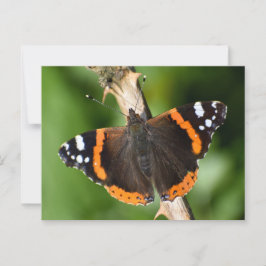 Butterfly Briefkaart