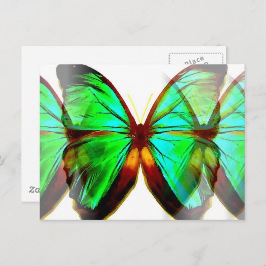 Butterfly Briefkaart (Voorkant / Achterkant)