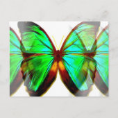 Butterfly Briefkaart (Voorkant)