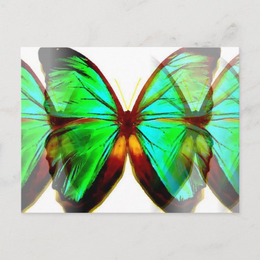 Butterfly Briefkaart (Voorkant)