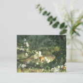 Butterfly Briefkaart (Staand voorkant)