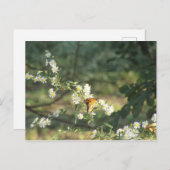 Butterfly Briefkaart (Voorkant / Achterkant)