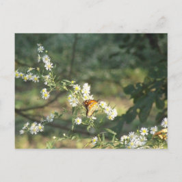Butterfly Briefkaart