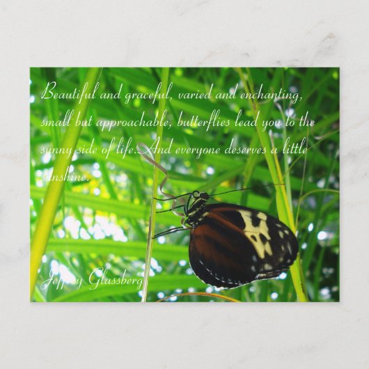 Butterfly-Briefkaart / Citaat Briefkaart (Voorkant)