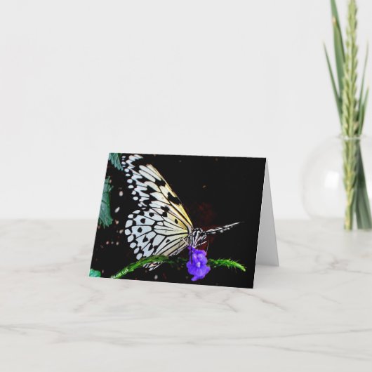 Butterfly-briefkaart Kaart (Voorkant)