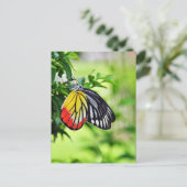 Butterfly - briefkaarten (Staand voorkant)