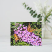 Butterfly Buddies ~ briefkaart (Staand voorkant)