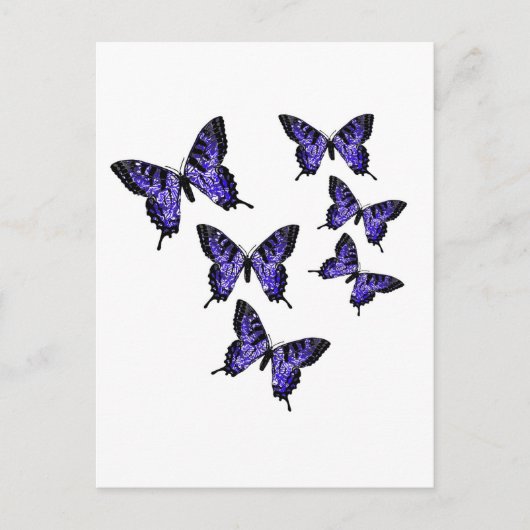 Butterfly Butterflies Briefkaart (Voorkant)