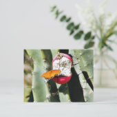 Butterfly Butterflies Cactus Briefkaart (Staand voorkant)