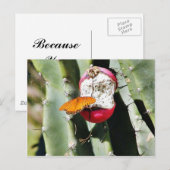 Butterfly Butterflies Cactus Briefkaart (Voorkant / Achterkant)