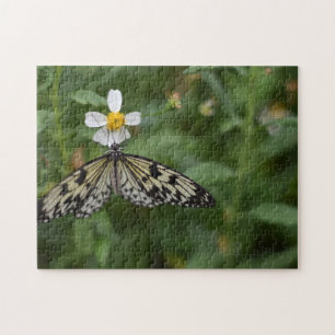 Butterfly Butterflies Natuur Fotografie Tuin Legpuzzel