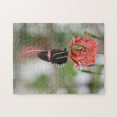 Butterfly Butterflies Natuur Fotografie Tuin Legpuzzel (Horizontaal)