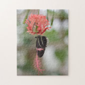 Butterfly Butterflies Natuur Fotografie Tuin Legpuzzel (Verticaal)