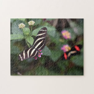 Butterfly Butterflies Natuur Fotografie Tuin Legpuzzel