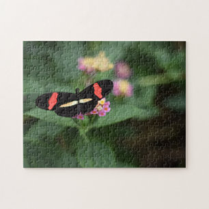 Butterfly Butterflies Natuur Fotografie Tuin Legpuzzel