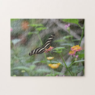Butterfly Butterflies Natuur Fotografie Tuin Legpuzzel