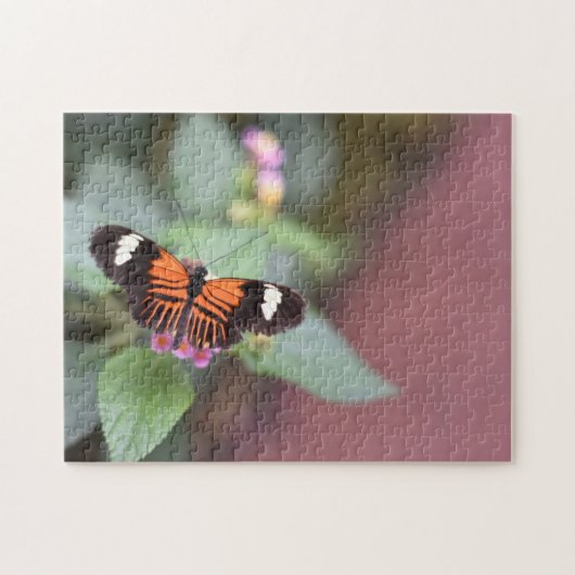 Butterfly Butterflies Natuur Fotografie Tuin Legpuzzel (Horizontaal)