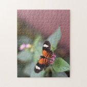 Butterfly Butterflies Natuur Fotografie Tuin Legpuzzel (Verticaal)